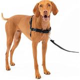 PetSafe Easy Walk-tuigje, anti-trek-hondenharnas, vermindert verstikking en hoesten, met 1,8 m riem, maat M, zwart