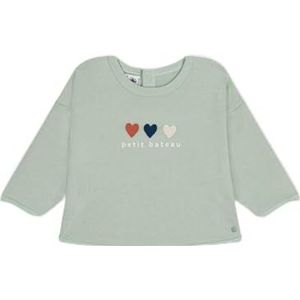 Petit Bateau HERBIE12M Sweatshirt, Herbarium, 12 Maanden