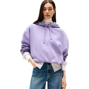 Tommy Hilfiger Dames CLASSIC SCRIPT FLEECE HOODIE WW0WW47459 Pullover Hoodie, Paars, XXS, Paars (Lavender Ash), XXS