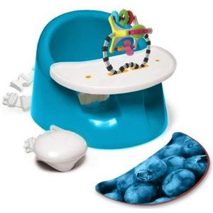 Prince Lionheart BebePOD Flex Plus (Berry Blue)