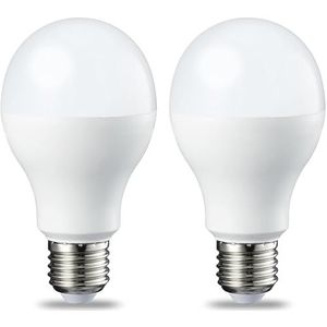 Amazon Basics LED E27 Edison schroeflamp, 14W (gelijk aan 100W), warm wit, dimbaar - verpakking van 2 stuks