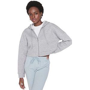 Dames Hooded Sweatshirt met lange mouwen Regular Grijs, Grijs, S