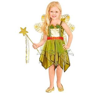 WIDMANN-Fatina Dei Boschi kostuum kinderen (116 cm / 4-5 anni) Veelkleurig.