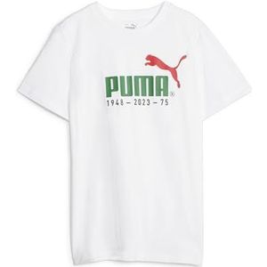 PUMA No.1 Logo Celebration Tee B T-shirt Unisex Baby