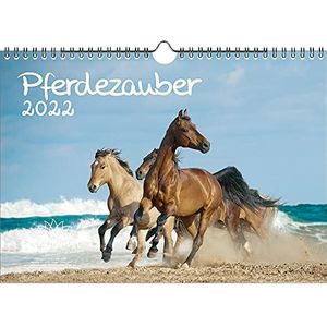 Seelenzauber Paarden Magie DIN A4 Kalender Voor 2022 Paarden en Veulens