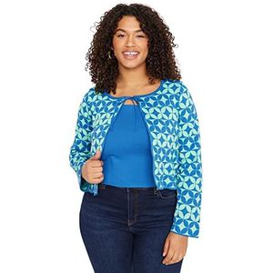 Trendyol Vrouwen Plus Size Regular fit Basic Crew Neck Knitwear Plus Size Cardigan, Blauw-Groen, 3XL, blauw-groen, 3XL grote maten
