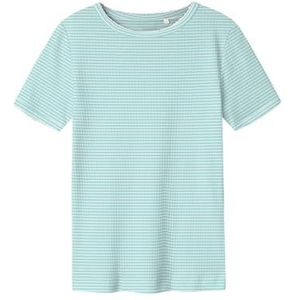 Name It - Nkffikate Ss - T-shirt - Lichtblauw - Slim Fit, Ronde Hals, Korte Mouwen
