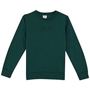 DeFacto Pullover met lange mouwen voor jongens - ronde hals sweatshirt voor jongens (groen, 3/4 Y), D.GREEN, 3-4 Jaren