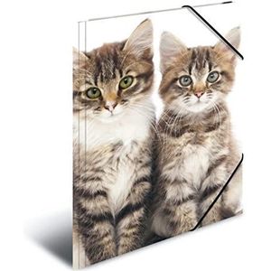 HERMA 7138 Verzamelmap DIN A4 dieren katten, stevig kunststof, opbergmap met bedrukte binnenklep en elastiek, documentenmap voor kinderen, jongens en meisjes