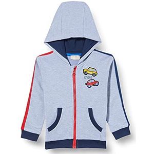 Chicco Sweatshirt voor kinderen.
