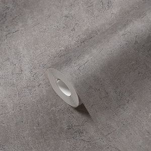 Behang vlies pleisterlook grijs taupe Desert Lodge 38484-2