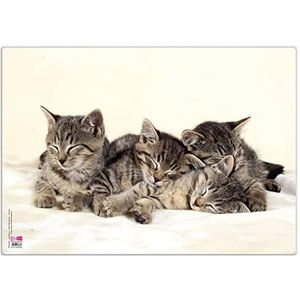 VELOFLEX 4650098 - Bureaulegger katten, 35 x 50 cm, antislip, afveegbaar, met transparante antireflecterende beschermfolie, bureauonderlegger, schildermat, knutselmat