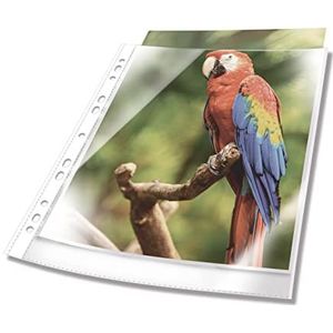 Durable Premium brochurehoes met gekleurde rand A4 glashelder PP Btl. à 25, wit, 265502