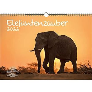 Seelenzauber Olifanten Magie DIN A3 Kalender Voor 2022