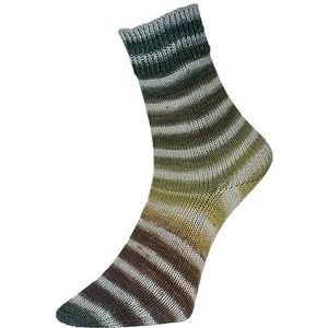 Woolly Hugs Paint Socks van Veronika Hug, 4-draads, 100g/420 m, 75% scheerwol/25% polyamide, 2 identieke sokken gebreid, (206 GRIJS GROEN)