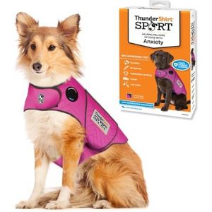 000024. Verboden voor honden - Black & Colors - Drukken | Kopiëren | Printen