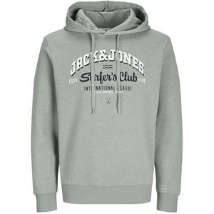 Jack & Jones JJELOGO Sweat Hood 2 COL 24/25 NOOS, Iceberg Green/Detail: melange, XS