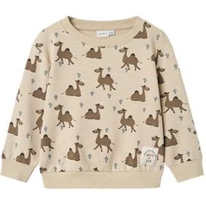 NAME IT Nmmjano Nreg Sweat Unb Box voor jongens, Peyote, 110