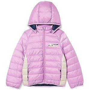 NAME IT Nkfmonty Noos jas voor meisjes, Violet Tulle, 116 cm