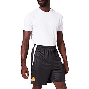PUMA FUBALL PARK Shorts