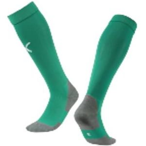 PUMA Team Liga Sokken