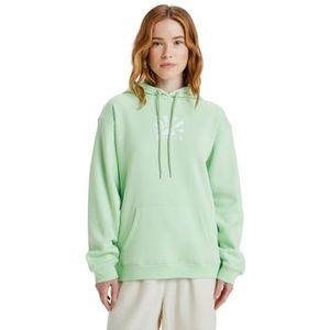 Roxy - Surf Stoked Brushed Vt - Hoodie - Pistachio green - Lange Mouwen