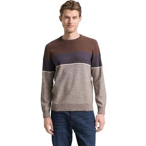 TOM TAILOR heren trui, 39274 - Bruin Blauw Wit Streep, XL