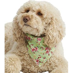 Pet Pooch Boutique Vintage Bandana voor Hond, Klein/Medium, Groen