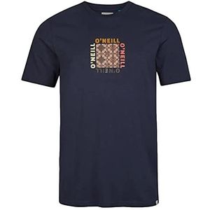 O'Neill Lm Center Triibe T-shirt voor heren