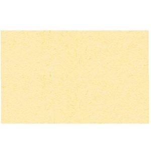 Ursus 3774611 - Fotokarton DIN A4, 300 g/m², 50 vellen, vanille