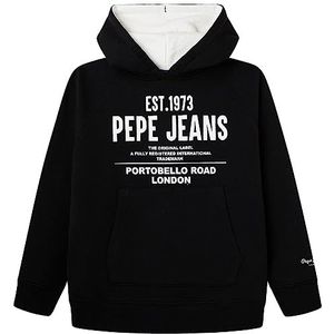 Pepe Jeans Jareth Pullover voor jongens, grijs, 14 Jaar
