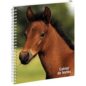 Exacompta - 999163E - Notitieboek met dierteksten - Folieomslag met metalen spiraal en afscheurbare wekelijkse kleurenregisters - 17 cm x 22 cm - motief paard