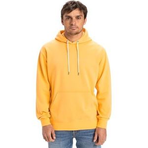 Quiksilver Salt Water Hoodie Pull-Over Heren, Chamois, S