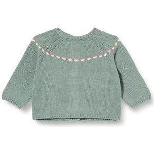 Gocco Pullover met Griekse trui voor baby's, Droog Groen, 0-3 Maanden