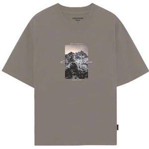 JACK & JONES Jcopoint Photoprint Tee Ss Crew Neck FST, Desert Taupe, L