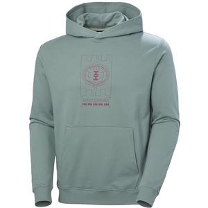 Helly Hansen Heren Core Graphic Sweat Hoodie