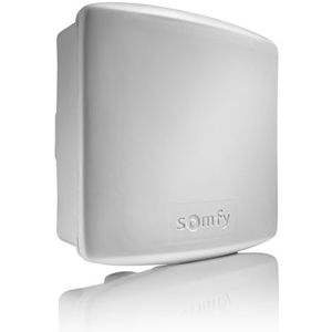 Somfy 2400556 - Universele Buitenpoort/Garagedeurontvanger | RTS-technologie