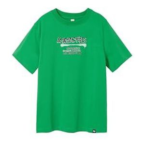 Desigual Jongens Ts_Alka T-shirt, groen, 12 Jaar