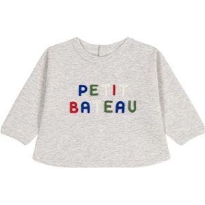 Petit Bateau Sweatshirt voor jongens, Grijs, 3 Jaren