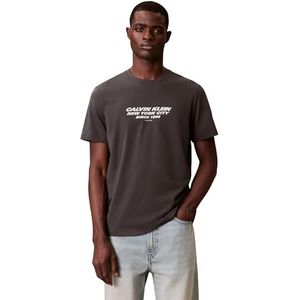 Calvin Klein Shirt  grijs / wit