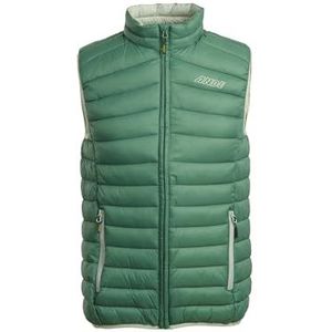 ANDE M42002-0410 sportvest voor heren, dennengroen