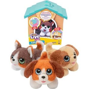 Little Live Pets Mini Puppy's Home Blauw huisdier met huisje, puppy met zachte vacht, vul je waterschaal, hang je plaatje met naam op en geef hem zijn botten, 4 jaar, beroemd (LPP01310)