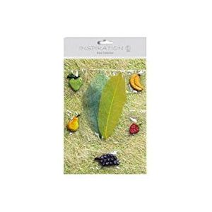 Ursus 64020099 - Sisal Collection Fruits, papieren en accessoires