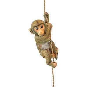 Design Toscano Chico het baby-chimpanseaapje hangend dierenbeeldje, polyresin, volledige kleur, 40,75 cm