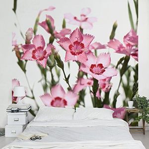 Apalis Vliesbehang bloemenbehang Duo of Flowers deel 1 fotobehang vierkant | fleece behang wandbehang wandschilderij foto 3D fotobehang voor slaapkamer woonkamer keuken | Maat: 336x336 cm, roze, 97608