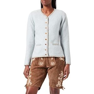 Stockerpoint Dames Jacke Caro Cardigan Sweater, Lichtblauw-grijs, 66 NL