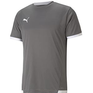 PUMA Heren Teamliga T-shirt, Smoked Pearl Wh, groot