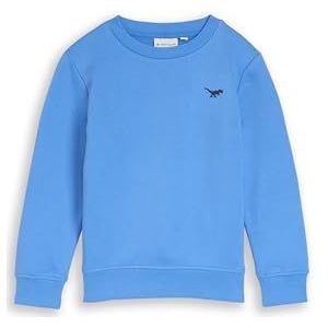 TOM TAILOR Sweatshirt voor jongens, 37177 - Soft Mid Blue, 92-98