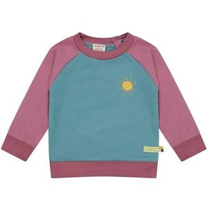 loud + proud Sweatshirt Colorblock, GOTS-gecertificeerd, Topaz/Grape, 86-92