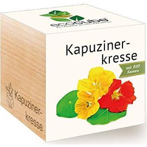 Feel Green Ecocube Oost-Indische kers, biologisch gecertificeerd, duurzaam cadeau-idee (100% milieuvriendelijk), kweekset, planten in houten kubus, Made in Oostenrijk